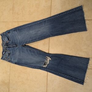 American Eagle Outfitters Blue Distressed Flare Jeans